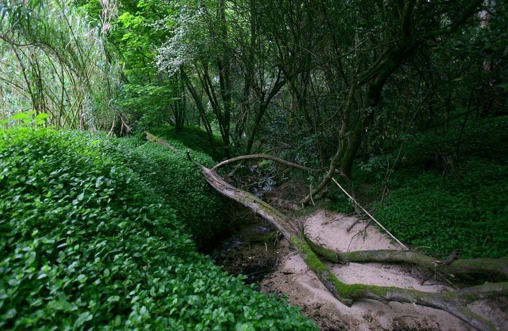 Casa Das Pesqueiras Melgaço エクステリア 写真